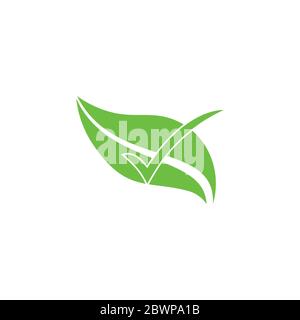 leaf check mark organic food symbol vector Stock Vector