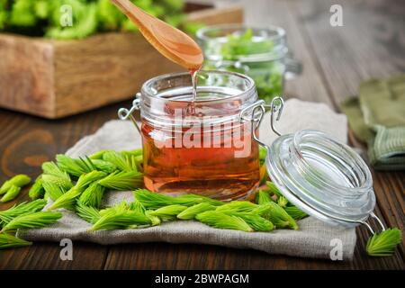 Jar of  jam or honey from fir buds and needles, spoon with  flowing syrup. Twigs of fir tree on wooden table. Making spruce tips jam at home. Stock Photo