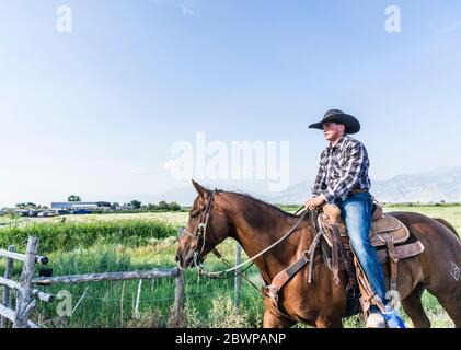 Cowboys and cowgirls on horses Stock Photo