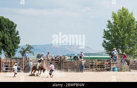 Cowboys and Horses Stock Photo