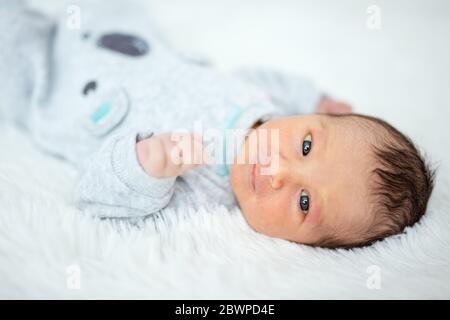 Newborn baby boy lying down on fluffy blanket, looking at camera Stock Photo