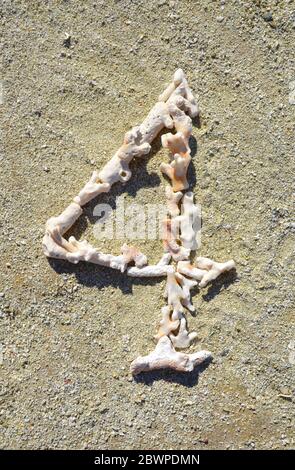 Number four (4) made from small pieces of dead coral laid out on a sandy beach on Heron Island in Australia Stock Photo