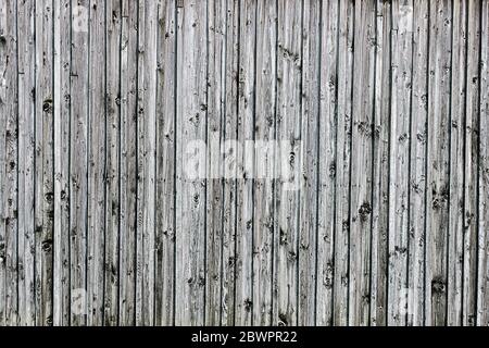 old plank wall, wood with many knotholes Stock Photo
