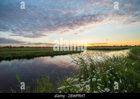Sunset with colorful clouds over the countryside near Gouda in Holland. Beautiful wild flowers grow along the waterfront in the foreground. Stock Photo