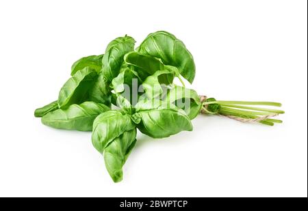 Green fresh basil leaves isolated on white. Stock Photo