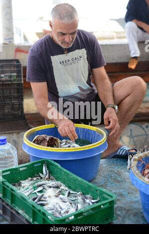 Natural insect bait like crickets and grubs used for trout fishing