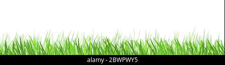 eps vector background template file of seamless panorama green summer grass on lower side for summer or spring designs Stock Vector