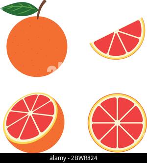 Fresh pink grapefruit vector set isolated on white background - Vector illustration Stock Vector
