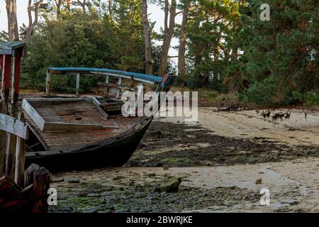 Boat graveyard on Bender Island in the Gulf of Morbihan. France. Stock Photo