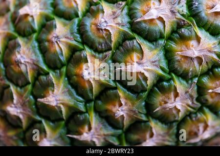 pineapple skin Stock Photo