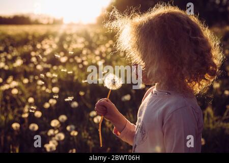 Selective focus cute blonde curly hair girl blowing blossomed dandelion flower head, seedlings fly away, positive bright sunset in rural countryside.