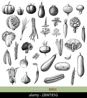 Vegetables collection hand draw engraving vintage style black and white clip art isolated on white background Stock Vector