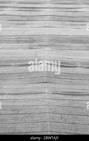 Agriculture shade net used in green tea plantations in Fuji City, Shizuoka Prefecture, Japan. Front view. Vertical shot. Stock Photo