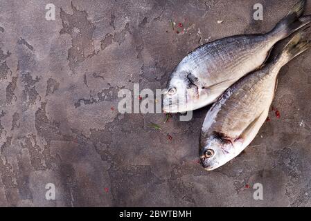 Two Sea Breams isolated on stone Stock Photo