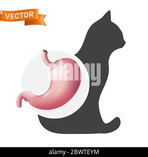 Realistic stomach organ on the cat animal silhouette. Digestive system vector icon of domestic pet isolated on white background Stock Vector