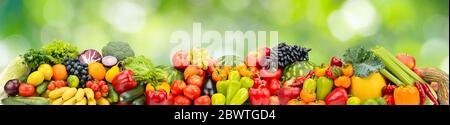 Panorama multicolored fresh fruits and vegetables on green natural background. Stock Photo