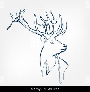 deer vector animal wild one line Stock Vector