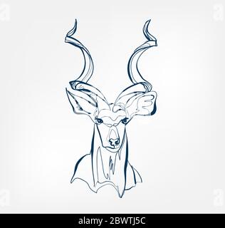 antelope vector animal wild one line Stock Vector
