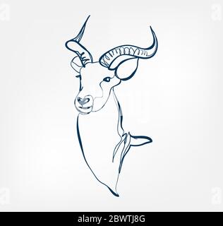 antelope vector animal wild one line Stock Vector