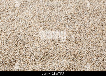 Dried white quinoa seeds background Stock Photo