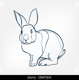 rabbit vector animal wild one line Stock Vector