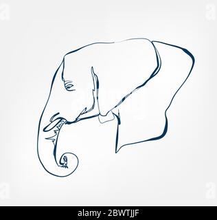 lephant vector animal wild one line Stock Vector