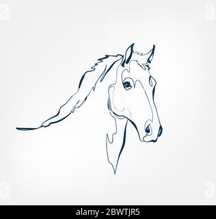 horse vector animal wild one line Stock Vector