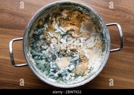 Moldy food in a pot Stock Photo