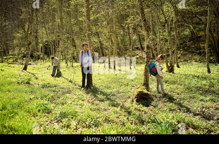 Children exploring in forest - mother helping son over stream ...