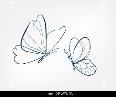 butterfly insect vector art line isolated doodle Stock Vector