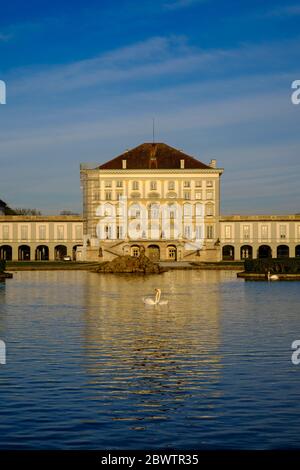 Germany, Bavaria, Munich, Two mute swans (Cygnus olor) swimming together in Nymphenburg Palace Park Stock Photo