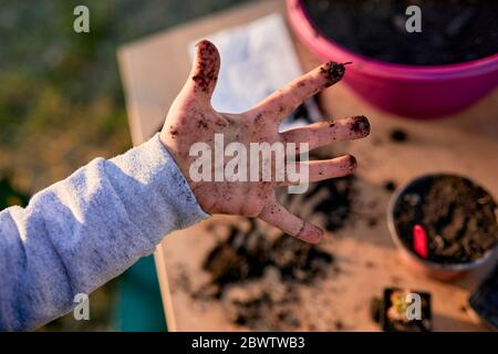 Close-up of boy showing his dirty hand from gardening Stock Photo