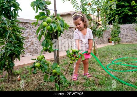 Little girl watering apple tree in the garden Stock Photo