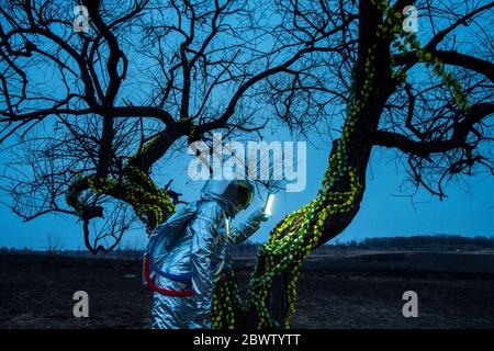 Spacewoman discovering a tree in the evening Stock Photo