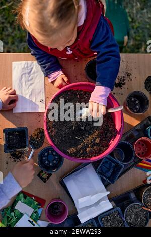 Overhead view of girl gardening on table Stock Photo