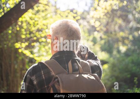 Back view of senior man at backlight hiking in forest