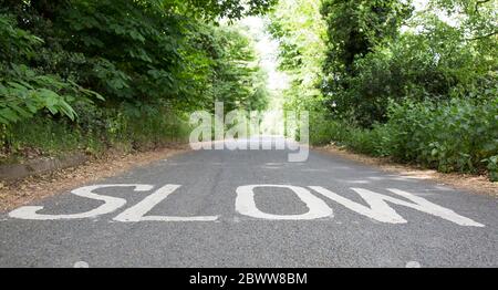 Low angle, close up of SLOW road marking painted on a UK country road in summer. Speed awareness road safety UK. Stock Photo