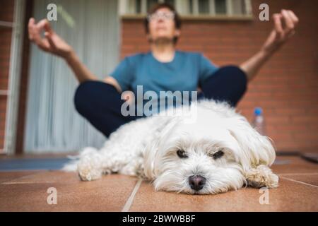 Senior woman meditating on balcony, dog in the foreground Stock Photo