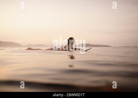 Female surfer lying on surfboard in the evening, Costa Rica Stock Photo