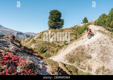 Man riding on mountainbike, Munestertal Valley, Grisons, Switzerland Stock Photo