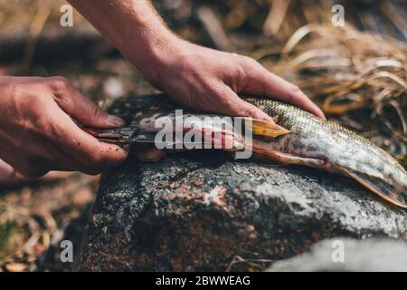 Young man gutting fish at lakeshore Stock Photo