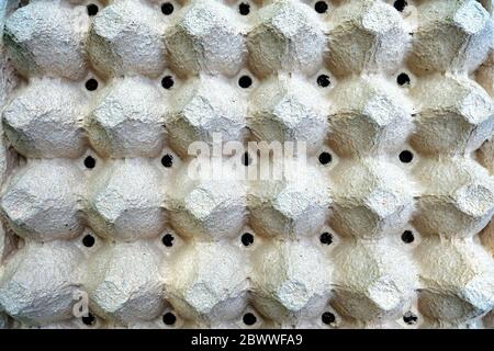 Closeup Empty Recycling Egg Carton Background. Stock Photo