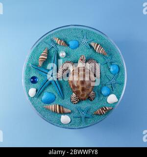 World oceans day background with shells, starfishes and turtle on blue sand. Top view. Stock Photo