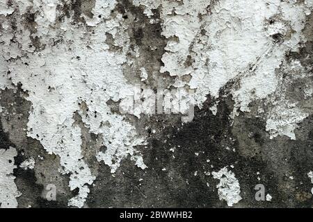 Old Grunge Peeling Concrete Wall Texture Background. Stock Photo