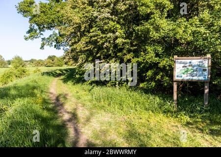 The western end of the Coombe Hill Canal and Meadows Nature Reserve near Wainlodes, north of Gloucester UK Stock Photo