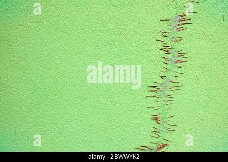 Dried Roots on Green Concrete Wall Texture Background. Stock Photo