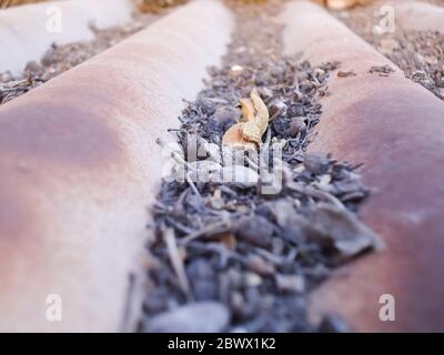 Corrugated and rusty metal sheet with dirt Stock Photo