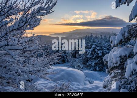Sunrise in a snow covered forest on the mountains Stock Photo