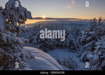 The sun shines behind a cloud over a snow covered forest Stock Photo