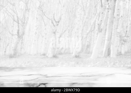 Marble Table with Blurred White Forest in the Autumn Background. Stock Photo